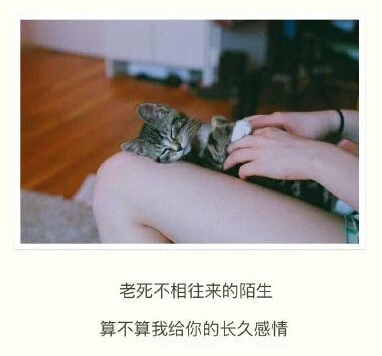 爱情短语大全 爱情短语大全