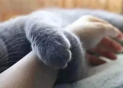 ڶг��Ĭ�ĳ����ӣ���һ�����Ĭ����