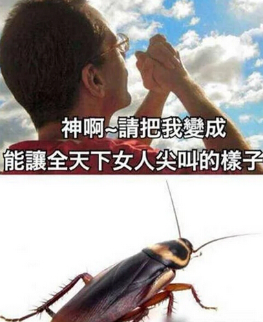 ΢�Ÿ�Ц���΢��˵˵��Ц�̾�