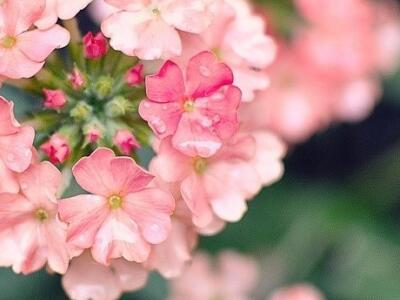 ��־���Ӵ�ȫ����־���Ӿ������