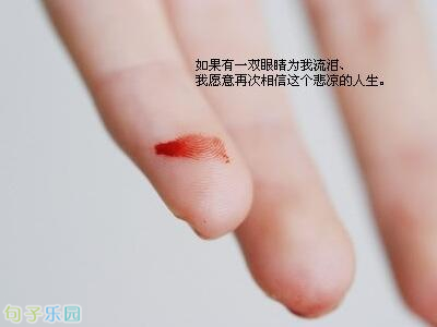 经典语录2017年 经典语录2017年