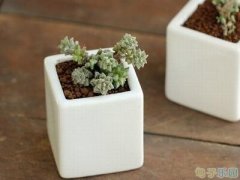 ���˵���¼��ȫ��ʧ�����õĶ��������ز������������