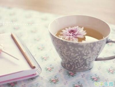 ���ڰ����Ψ�����ӣ�����Ψ���̾侫ѡ��
