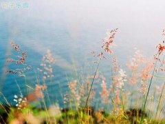 ���������̾�˵˵����������ľ�����¼