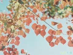 ʮ�˾侭�䰮����䣬��䴩�ģ�