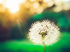 ���龭����¼΢������׹�밮�ӣ�Ȼ��������