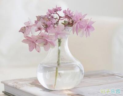 ����˵˵Ψ���ľ��ӣ�������˵˵�������1