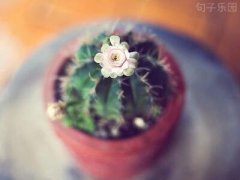 ���������ȫ����ϧ���е�������Ҳ�������е�ʧȥ
