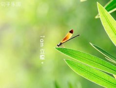����ձ�ϲ���������ἰ