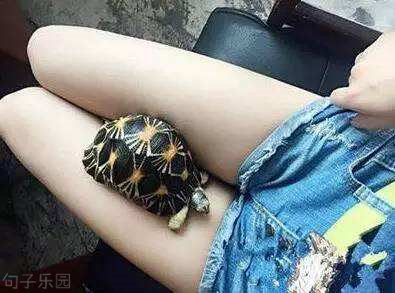 很有内涵的搞笑说说