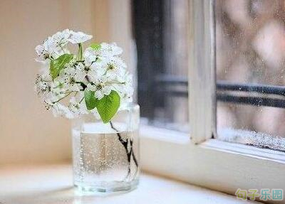 �Ƚϸ��ŵĶ̾���