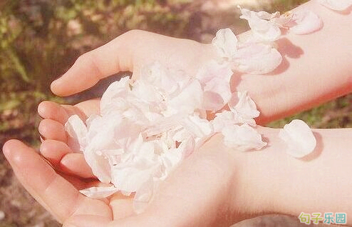 唯美文艺森系句子