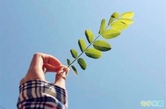�����Լ��Ļ� �����ľ���˵˵����
