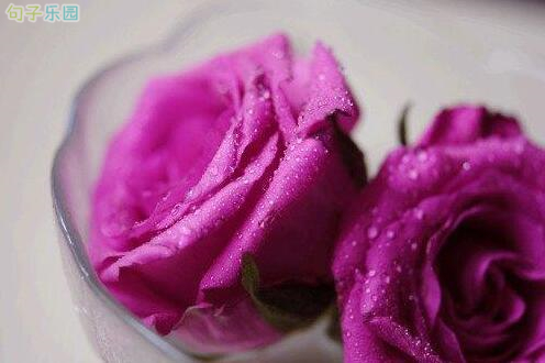 ˵���Ŀ��ľ�����¼2