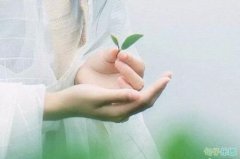 Ű�Ĵ����˵˵