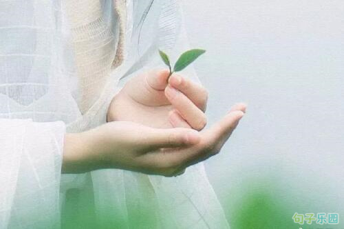 虐心催泪的说说1
