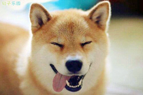 ��Ц����Խ��Խ��1