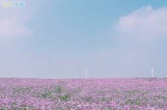 �ǳ��ܻ�ӭ�İ�����¼
