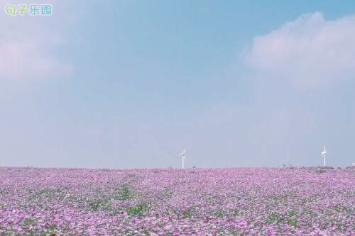 非常受欢迎的爱情语录1