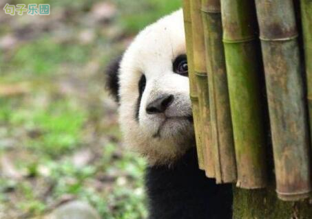 超级搞笑的话2