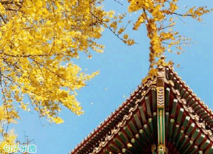 优美正能量短语