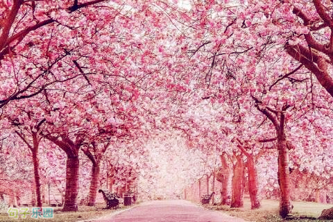 ���ŵĹŷ�̾�