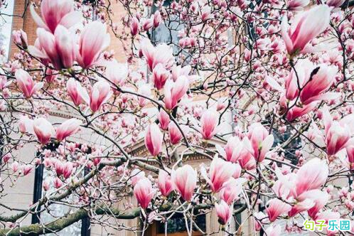 2019�ж�ĸ�׽ڵľ��� ףĸ�׽ڿ��ֵľ���