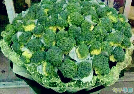 网络情人节搞笑说说 5月20日搞笑签名