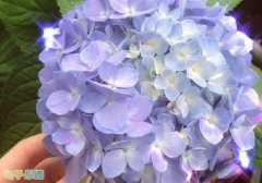 �쵽����ڵ�ף��˵˵ ������Ȧ�Ķ����ף����