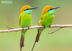 ̩���������¼˵˵ ̩���ʫ������������
