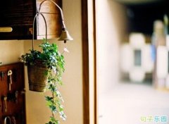 �ر�����˵˵ ������޵�ǩ��