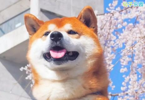 �²������ȵĸ�Ц���� ��٩�����ȵ�˵˵����