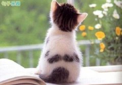 �14���� ���������