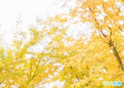 村上春树说过最经典的一句话 村上春树作品里的经典名句