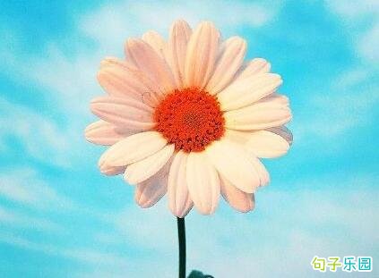 �����簲��¼ ���µ�һ���ʺ���