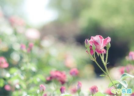 教师节给老师留言的句子 教师节让老师感动的说说