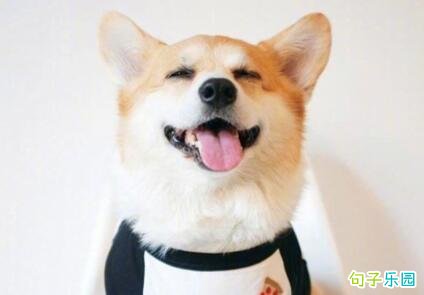 ��Ĭ��ȤС�̾� ��Ĭ�ֲ�ʧ��Ȥ��˵˵