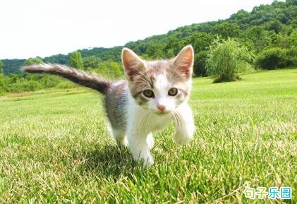 ÿ�쳿������ ������־��¼