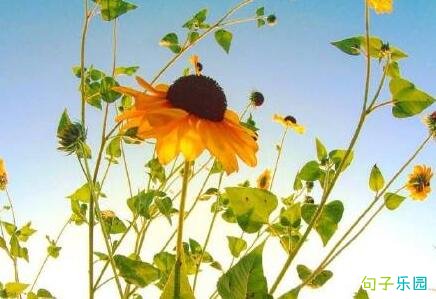 �����ʺϷ�˵˵����־