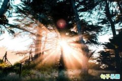 �����Լ����Ͻ�����˵˵ �����Լ���������˵˵