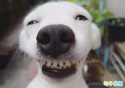 ����ڿɰ�˵˵���� �����ֵĹ���ڸ�Ц����