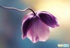 �ʺϸж��ڷ���ף���� �ж����ף�������