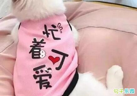 道晚安的可爱小句子 特别可爱的晚安句子