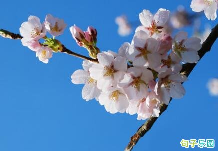 描写冬天景色短句 形容冬天大雪纷飞的句子