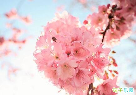 ���ں�һ���˵ľ��� �һ���˵ľ���