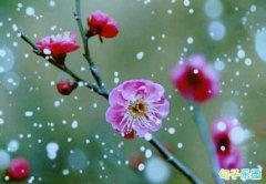 С�������ʺ��� С��ע�Ᵽů�Ķ����ʺ�