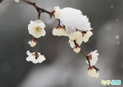 适合小寒发的说说 小寒送朋友的祝福语
