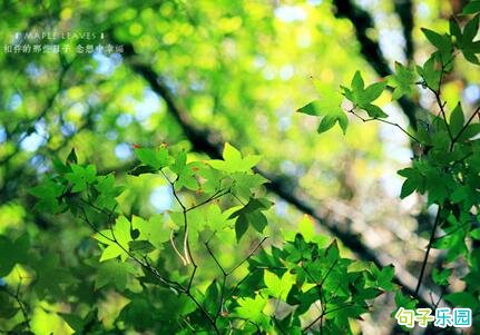 ���̵�Ψ������ 6�ֵ�10�ֵ�Ψ���̾�