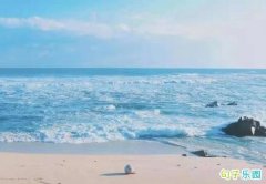 ���ϴ������������������� ���������������澭����¼