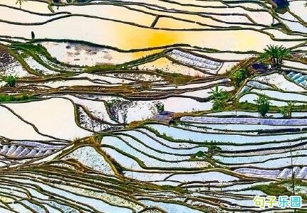 描写立春有关的古诗 描写立春节气的古诗